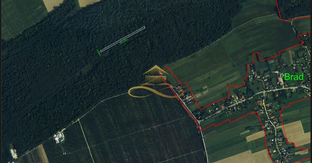 Teren extravilan de 2700 mp, în Berești-Bistrița