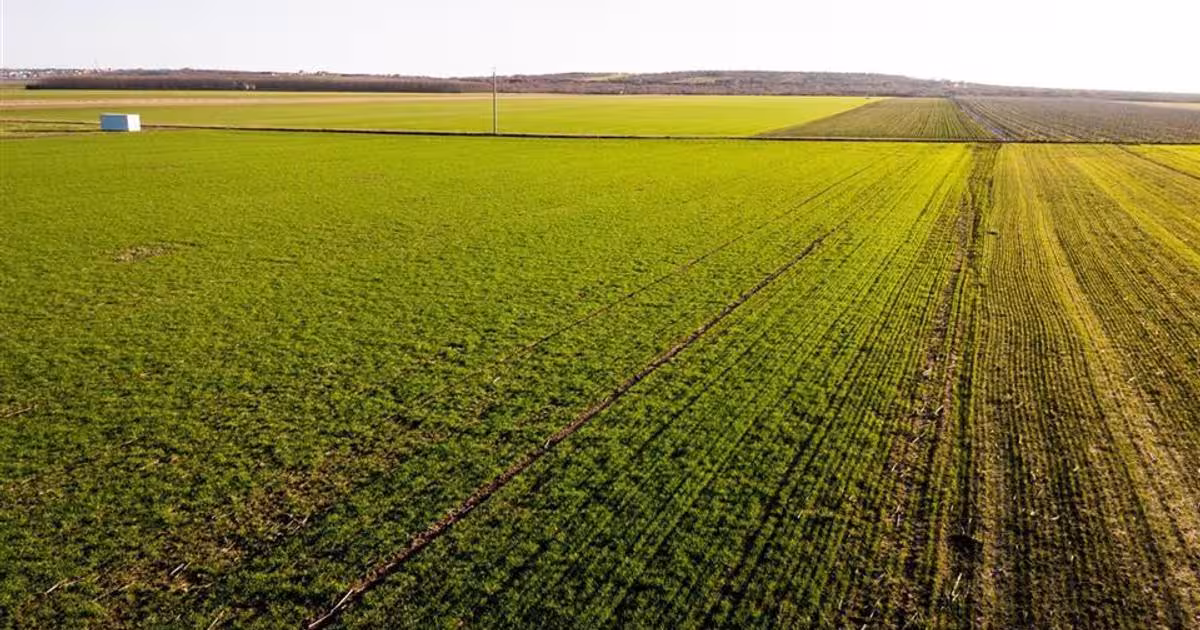 Teren intravilan de 5500 mp, în Biharia