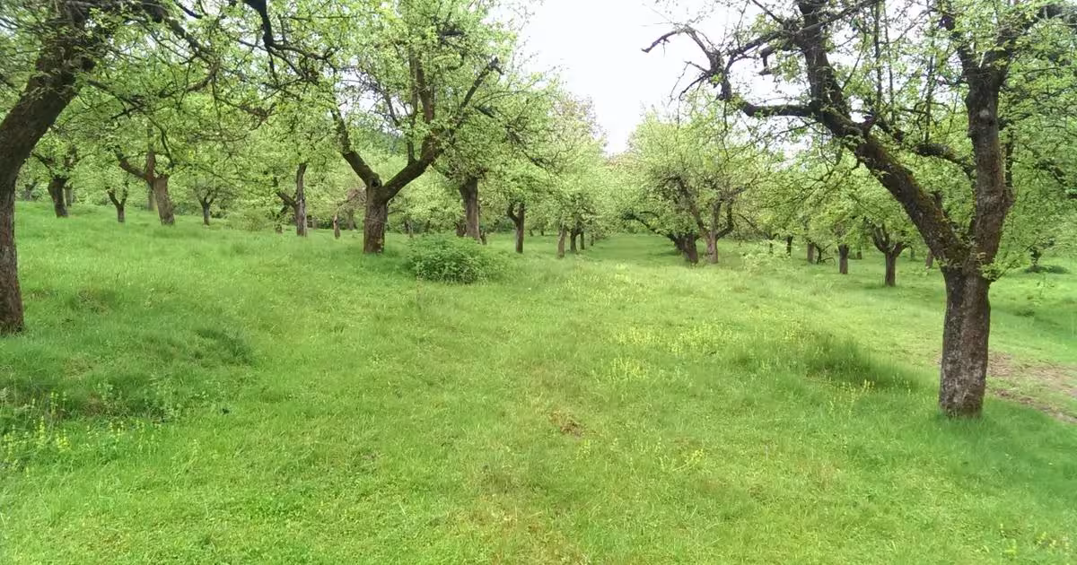 Teren extravilan de 72000 mp, în Boțești