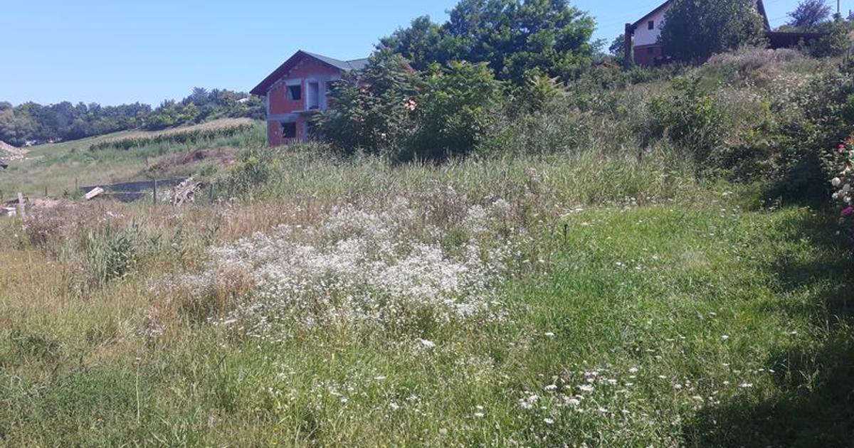 Teren intravilan de 971 mp, în zona Central, Botoșani