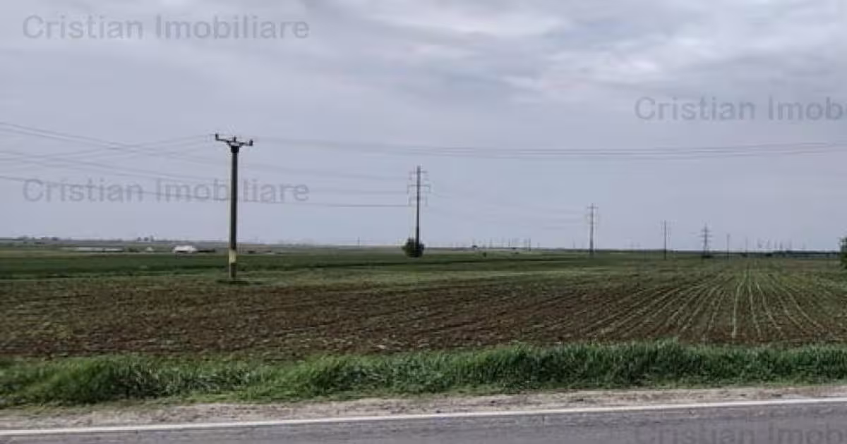 Teren intravilan de 7500 mp, în zona Centură, Brăila
