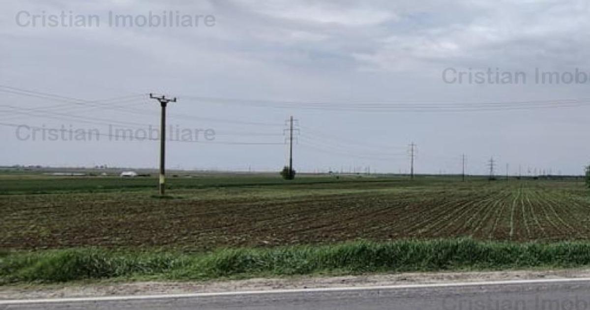 Teren intravilan de 7500 mp, în zona Centură, Brăila