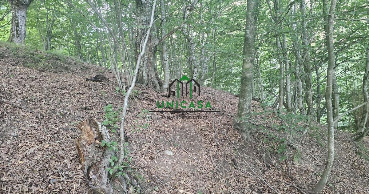 Teren extravilan de 3903 mp, în zona Est, Brezoi