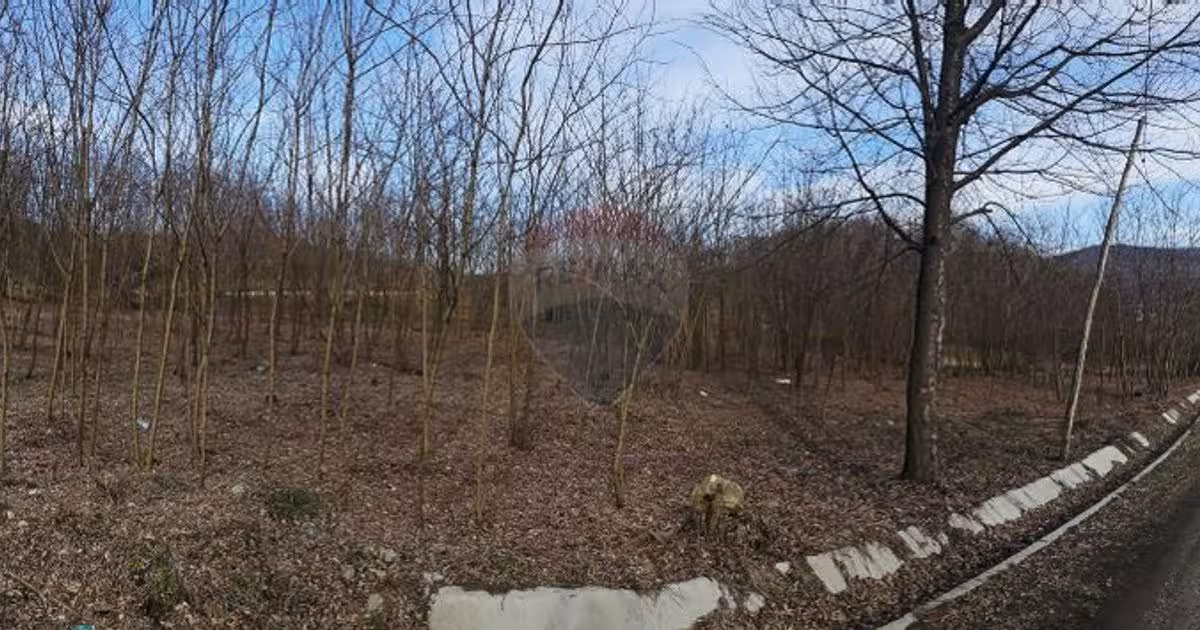 Teren intravilan de 2714 mp, în Bujoreni