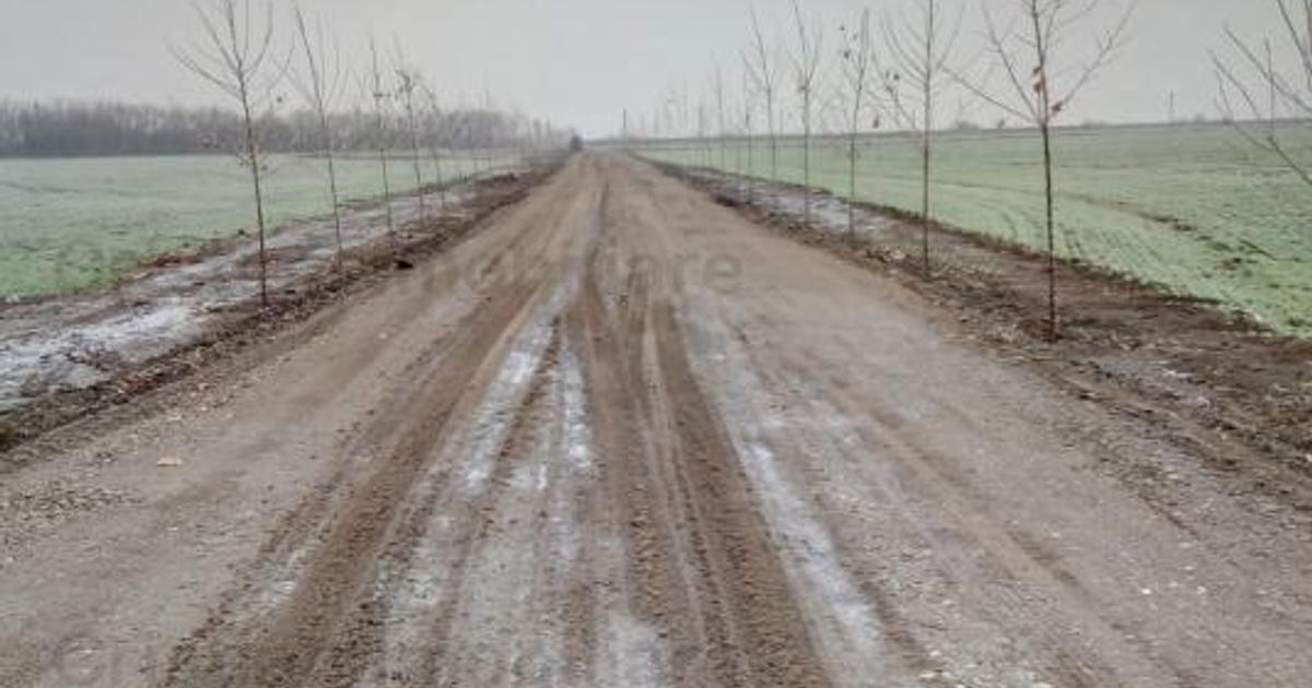 Teren intravilan de 5000 mp, în Cazasu