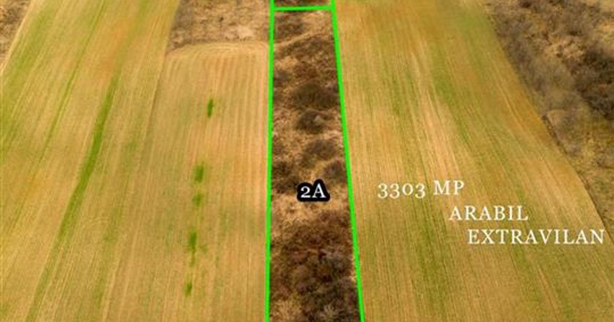 Teren intravilan de 7089 mp, în Ceica