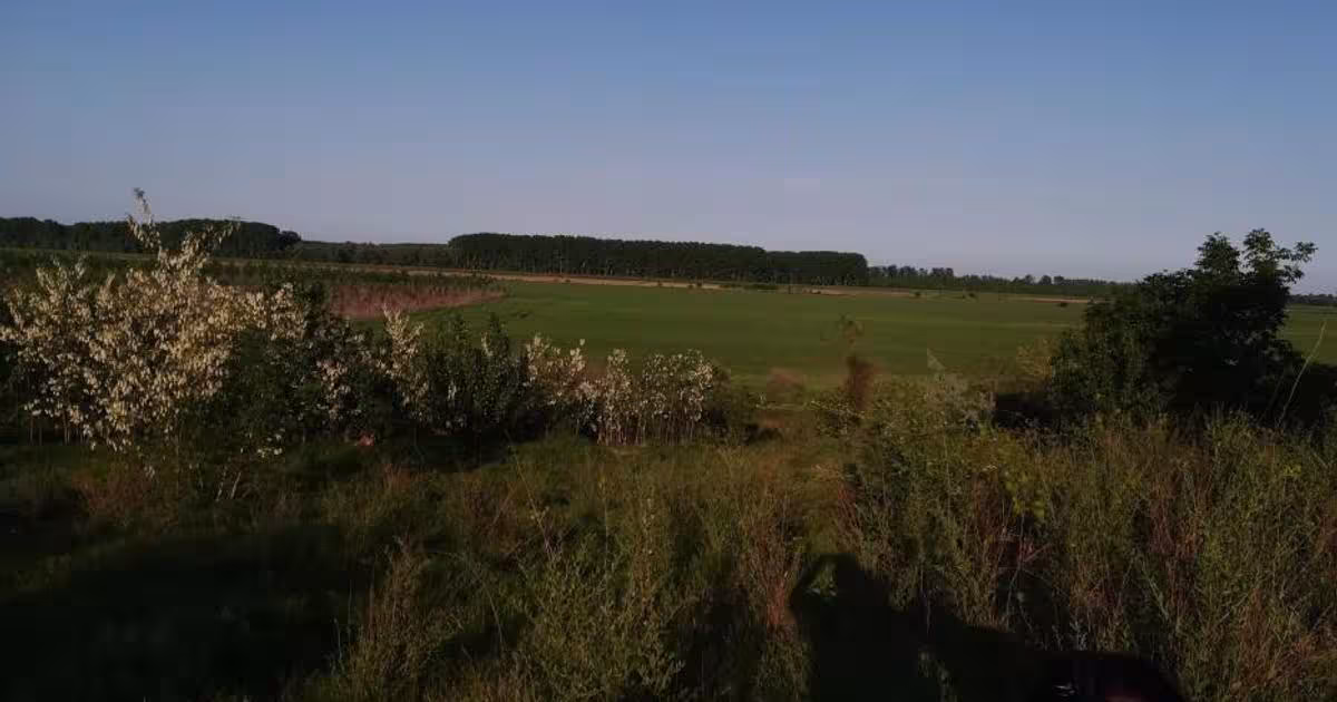 Teren intravilan de 2200 mp, în Chiscani
