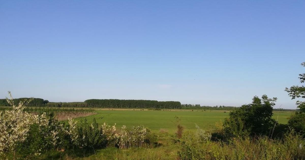 Teren intravilan de 2200 mp, în Chiscani