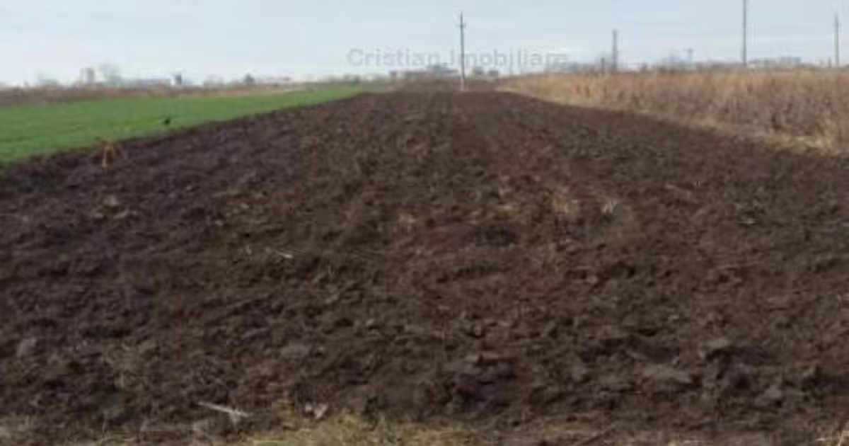 Teren intravilan de 3000 mp, în Chiscani