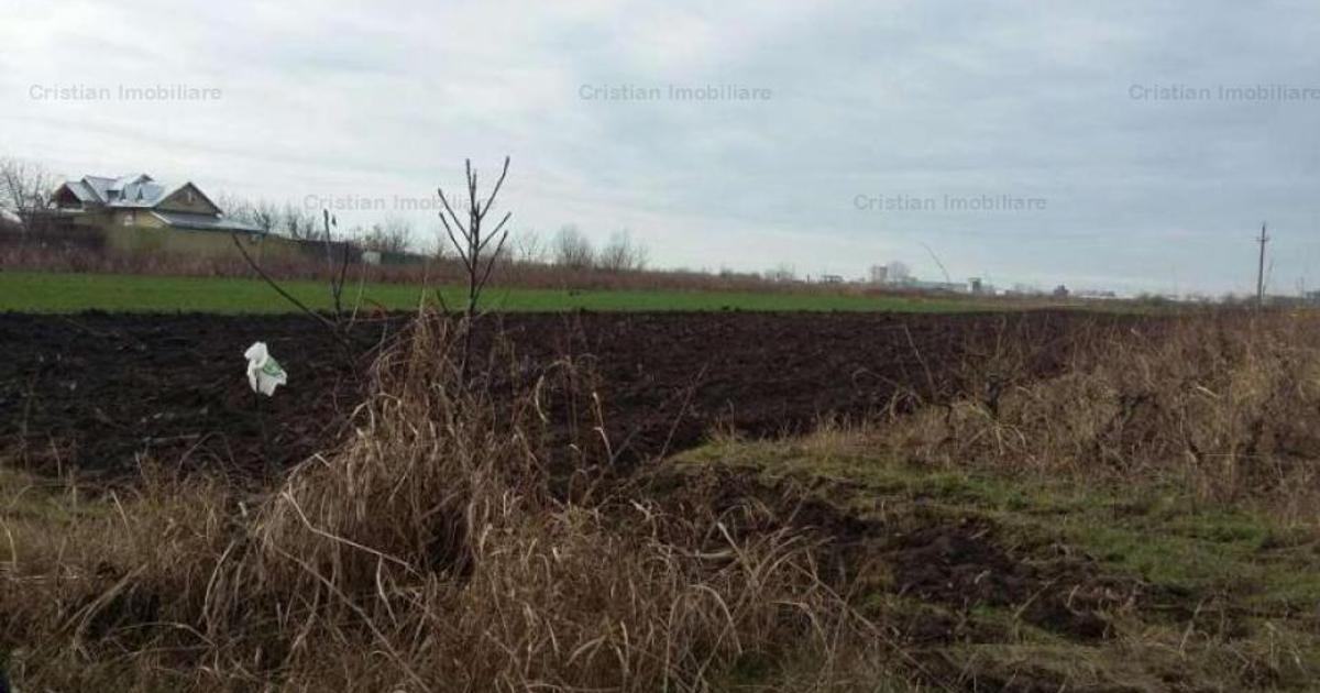 Teren intravilan de 3000 mp, în Chiscani