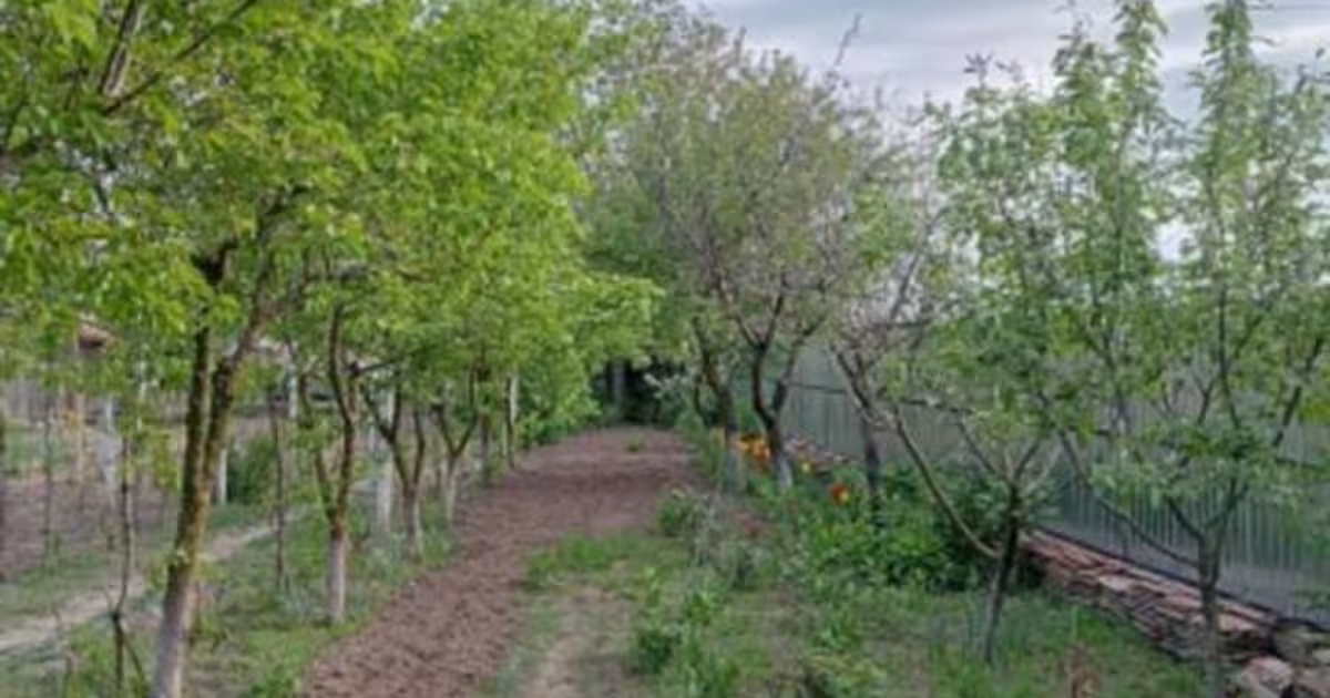 Teren intravilan de 950 mp, în Chiscani
