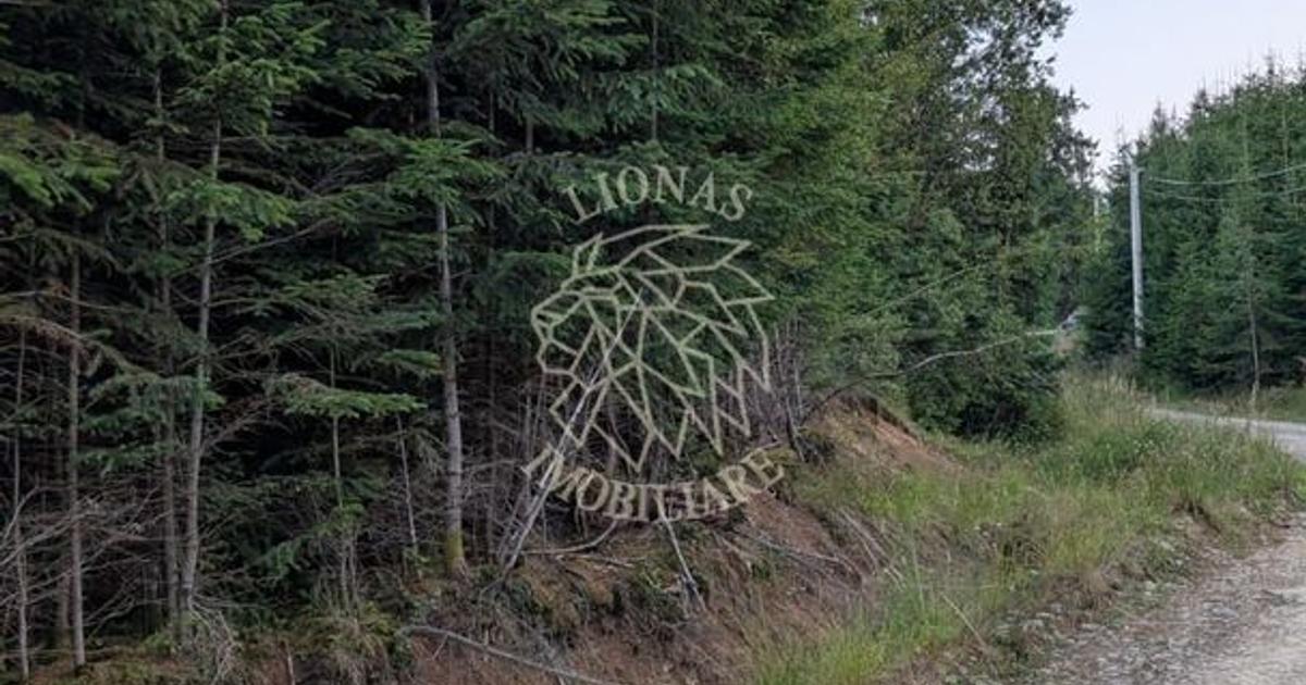 Teren extravilan de 19500 mp, în Colibița