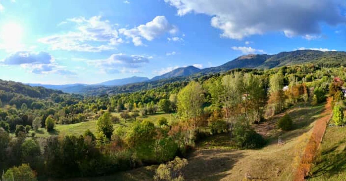 Teren intravilan de 10000 mp, în Corbeni