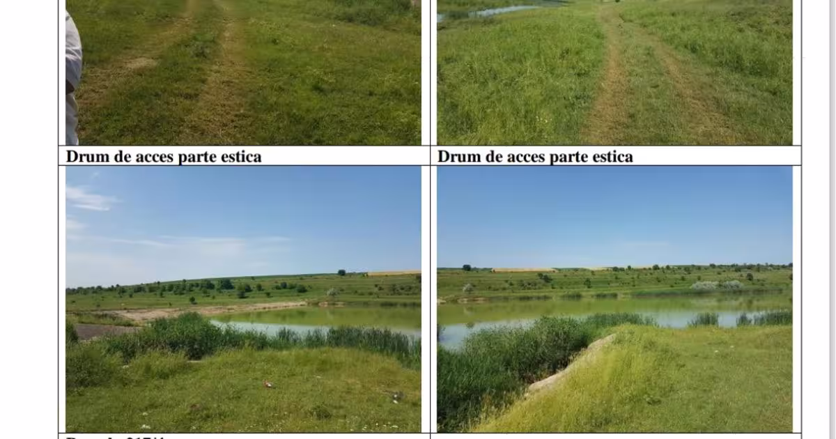 Teren extravilan de 75000 mp, în Daia