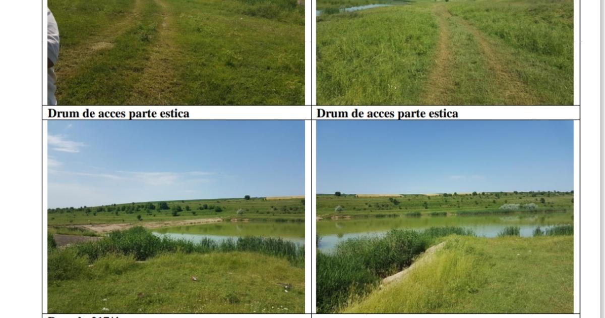 Teren extravilan de 75000 mp, în Daia