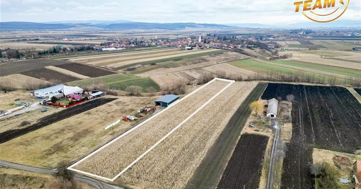 Teren intravilan de 5800 mp, în Dobolii de Jos