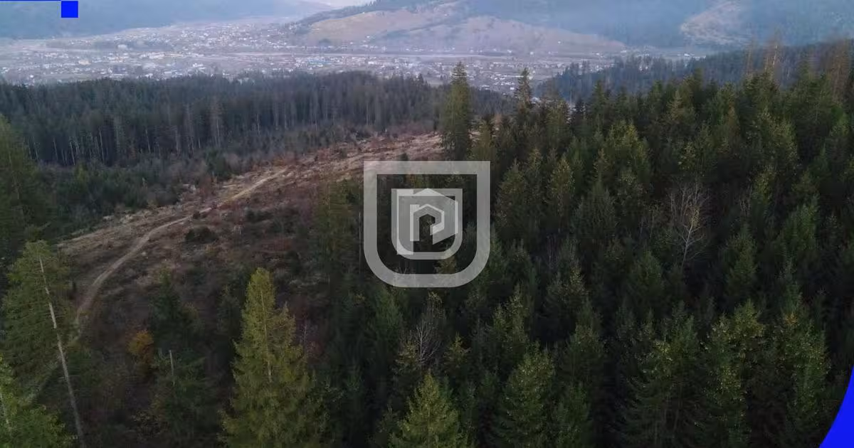 Teren extravilan de 3139 mp, în zona Vest, Frasin