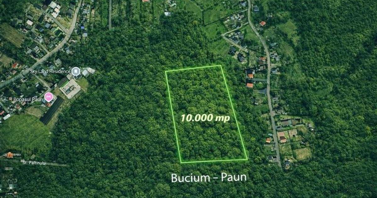 Teren intravilan de 10000 mp, în zona Bucium, Iași