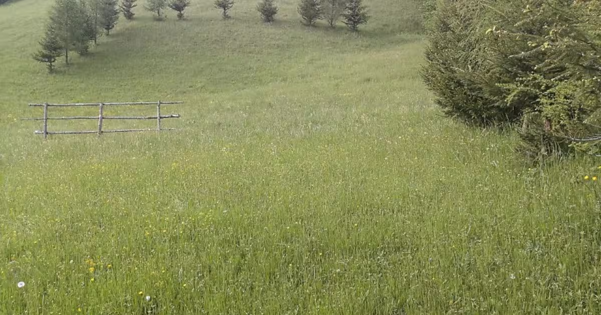 Teren extravilan de 1500 mp, în Maieru