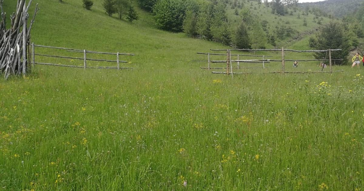 Teren extravilan de 1500 mp, în Maieru