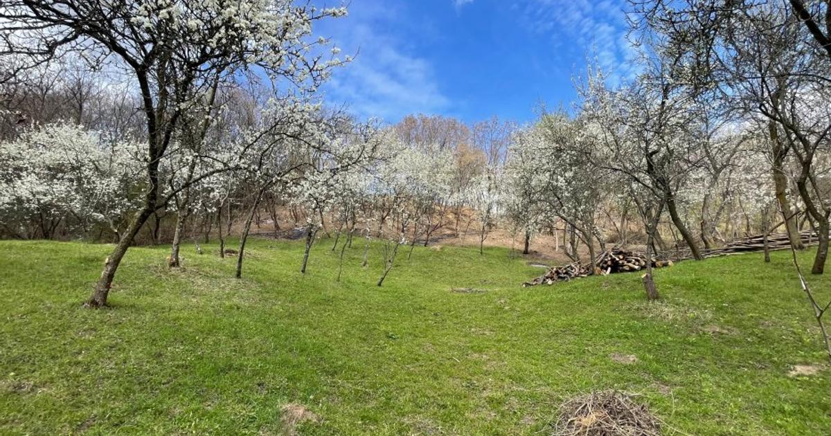 Teren intravilan în Mihăești