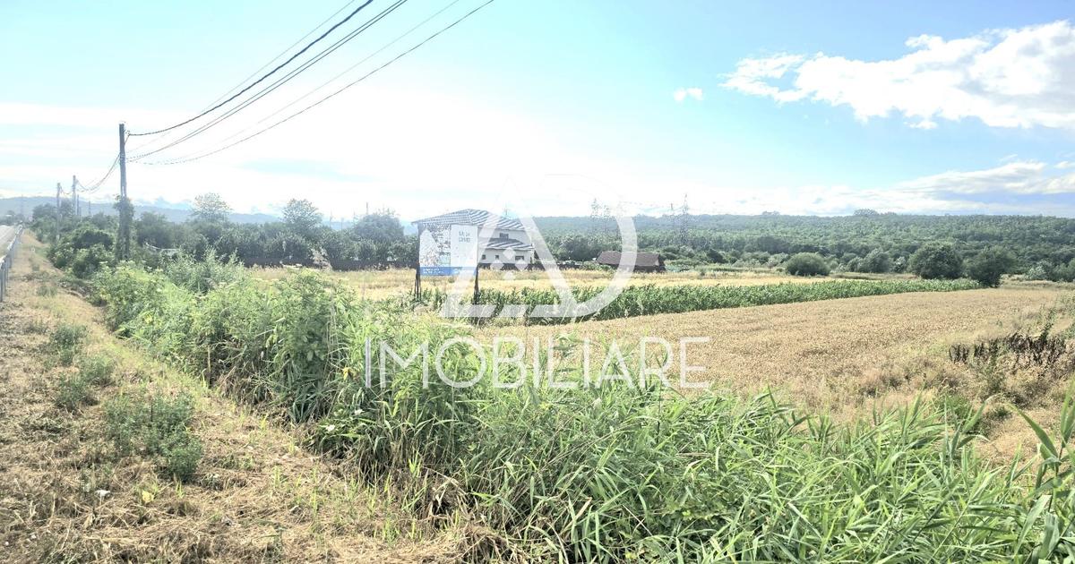 Teren intravilan de 3024 mp, în Moi