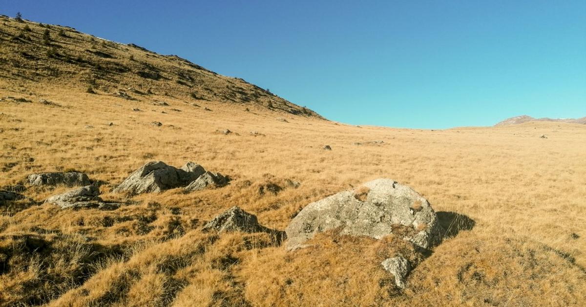 Teren intravilan de 2500 mp, în Moroeni