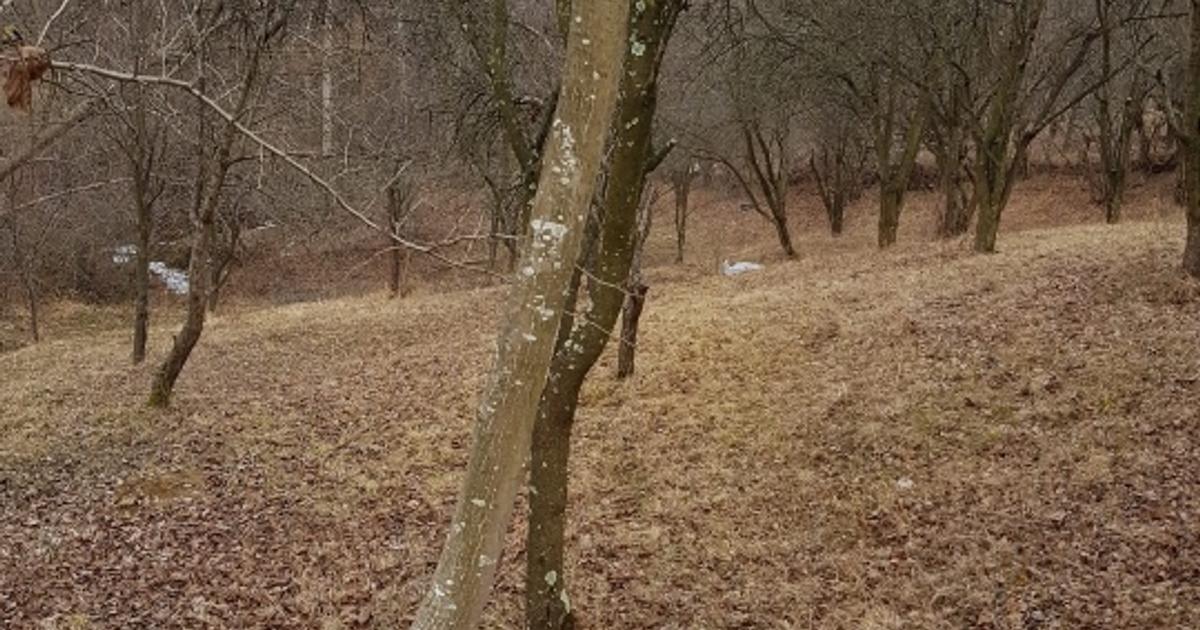 Teren intravilan de 1700 mp, în Olănești