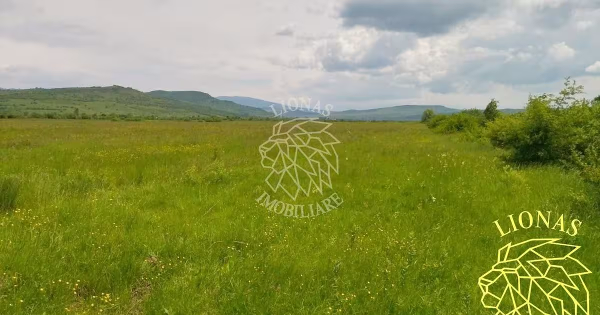 Teren extravilan de 13100 mp, în Orheiu Bistriței