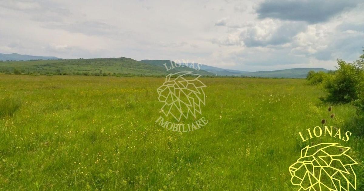 Teren extravilan de 13100 mp, în Orheiu Bistriței