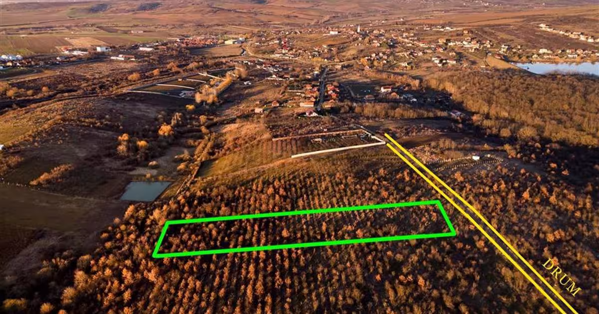 Teren intravilan de 5305 mp, în Paleu