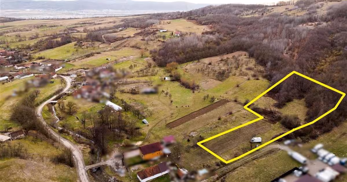 Teren intravilan de 7465 mp, în Peștiș
