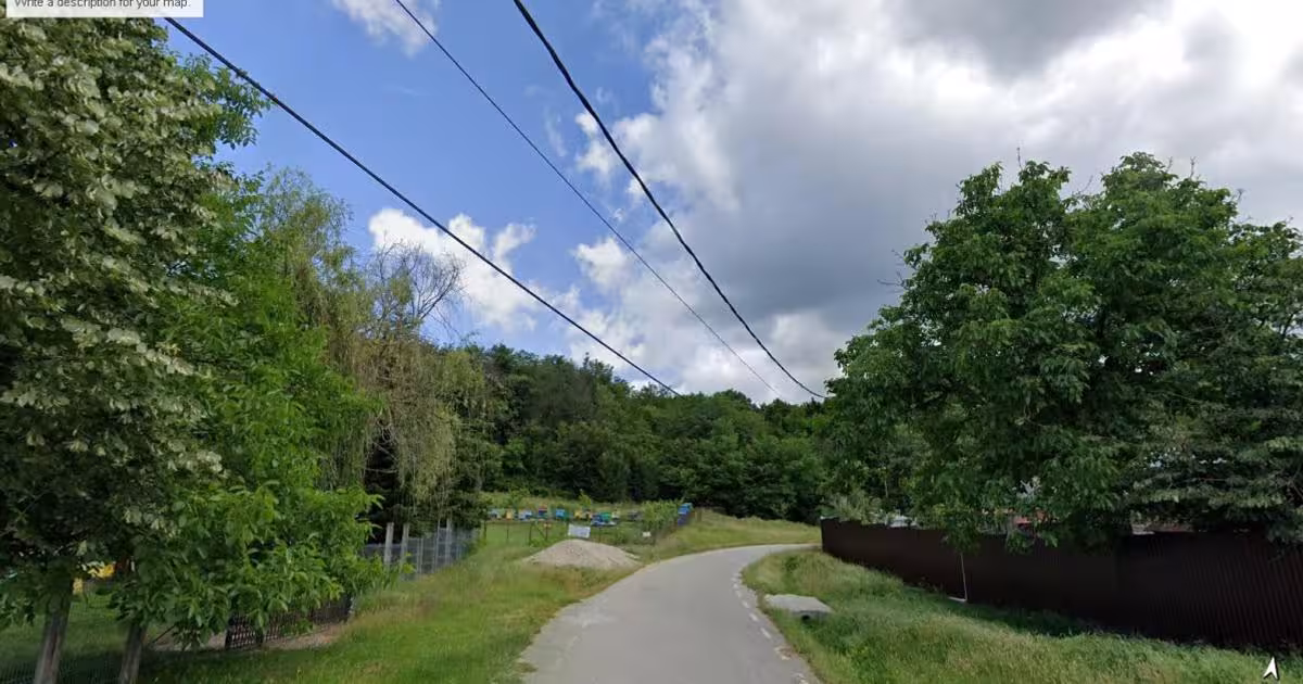 Teren extravilan de 13350 mp, în Pleșoiu (Nicolae Bălcescu)