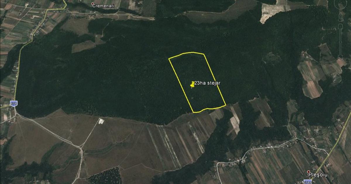 Teren extravilan de 13350 mp, în Pleșoiu (Nicolae Bălcescu)