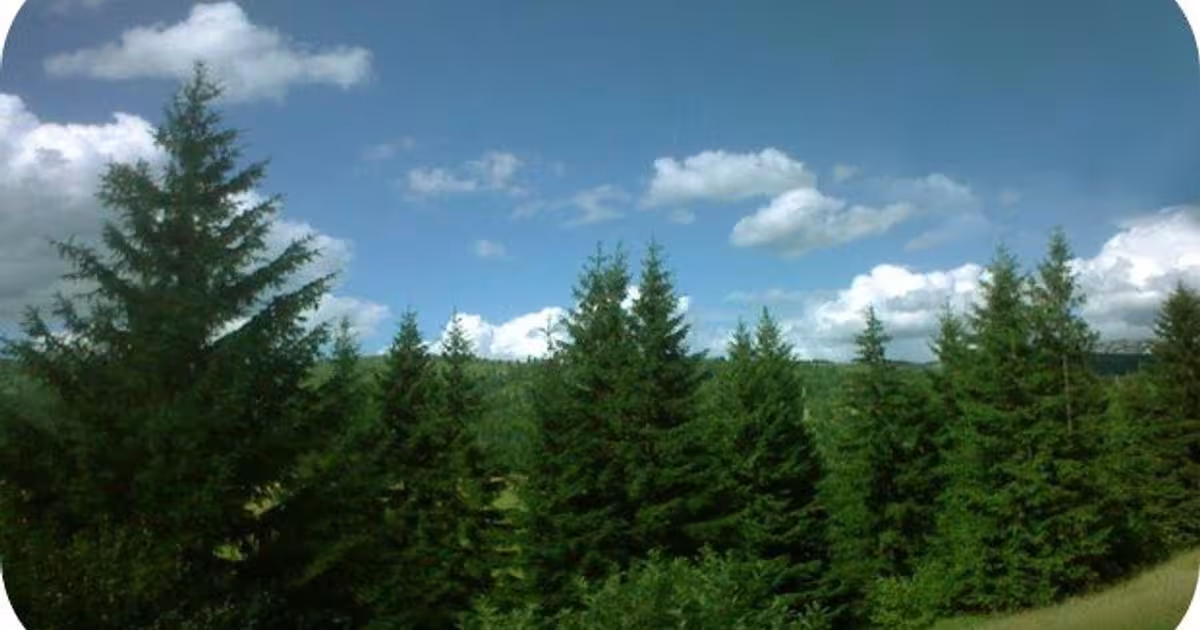 Teren extravilan de 6020000 mp, în Poienile de sub Munte