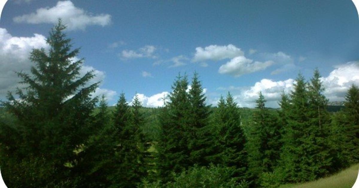 Teren extravilan de 6020000 mp, în Poienile de sub Munte