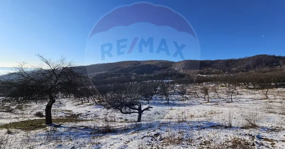 Teren intravilan de 5054 mp, în zona Dealul Malului, Râmnicu Vâlcea