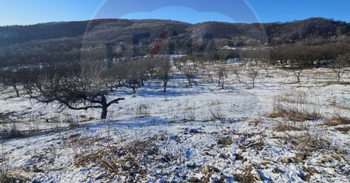 Teren intravilan de 5054 mp, în zona Dealul Malului, Râmnicu Vâlcea