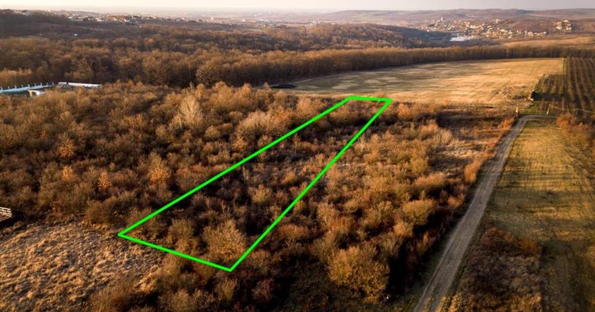 Teren intravilan de 4333 mp, în Săldăbagiu de Munte