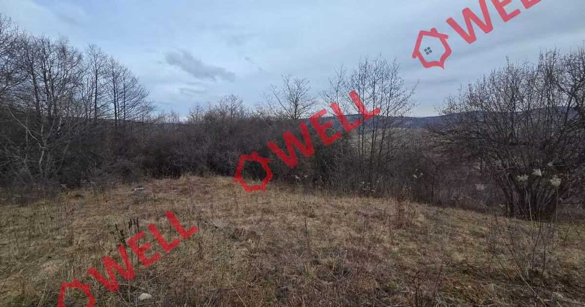 Teren intravilan de 4200 mp, în Sărămaș