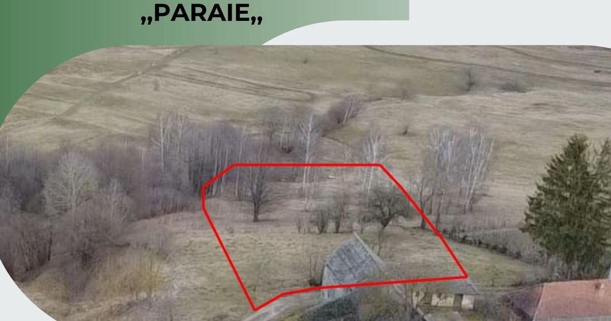 Teren extravilan de 5800 mp, în Sărămaș