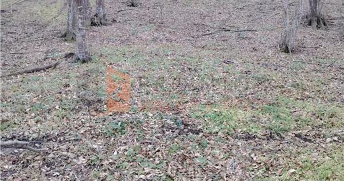 Teren intravilan de 1000 mp, în Sărata-Monteoru
