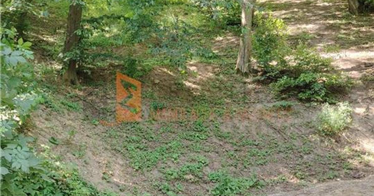 Teren intravilan de 1000 mp, în Sărata-Monteoru