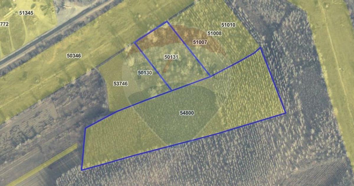 Teren extravilan de 80000 mp, în Suraia