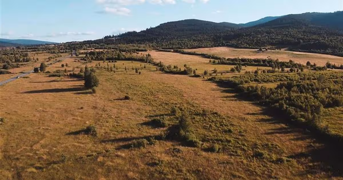 Teren intravilan de 52555 mp, în Suseni