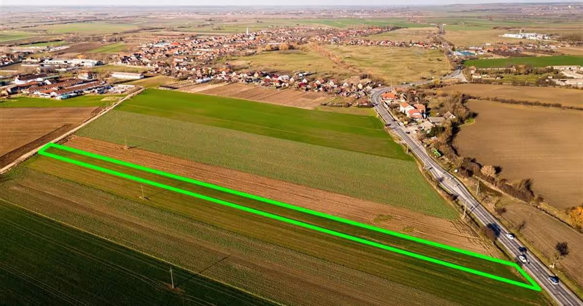 Teren intravilan de 5000 mp, în Tămășeu
