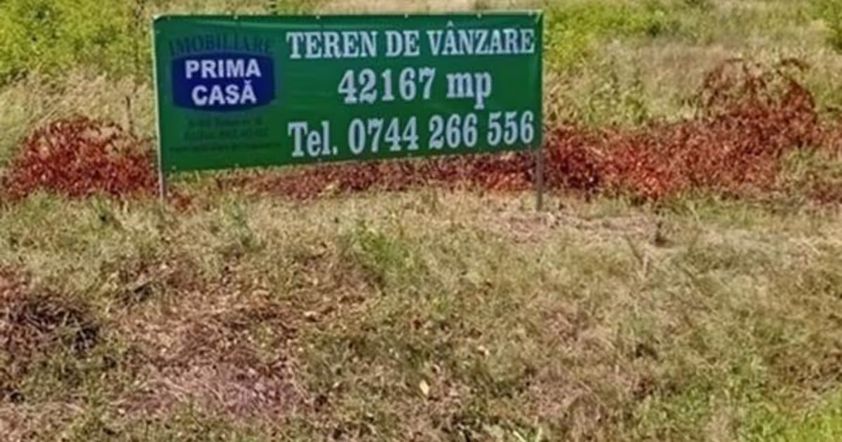 Teren intravilan de 42167 mp, în Tăuții-Măgherăuș