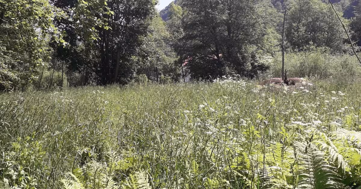 Teren extravilan de 10246 mp, în Teregova