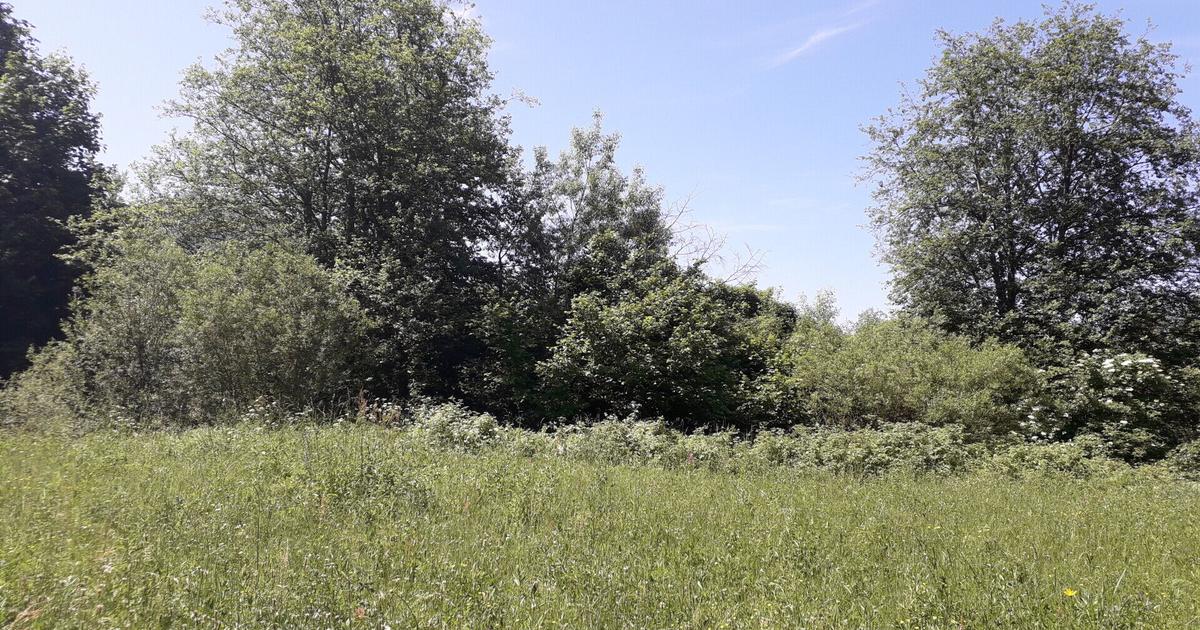 Teren extravilan de 10246 mp, în Teregova