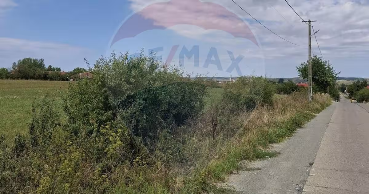 Teren intravilan de 9505 mp, în Tileagd